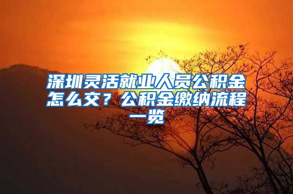 深圳灵活就业人员公积金怎么交？公积金缴纳流程一览