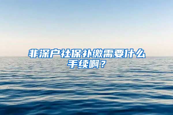 非深户社保补缴需要什么手续啊？