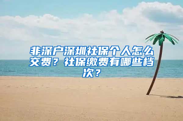 非深户深圳社保个人怎么交费？社保缴费有哪些档次？