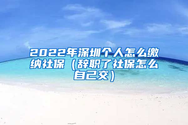 2022年深圳个人怎么缴纳社保（辞职了社保怎么自己交）