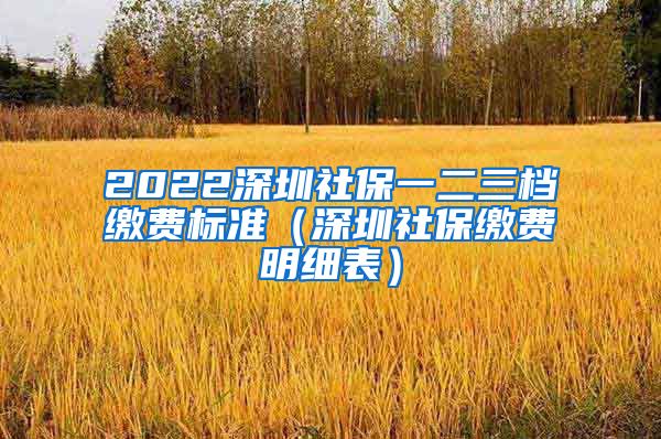 2022深圳社保一二三档缴费标准（深圳社保缴费明细表）