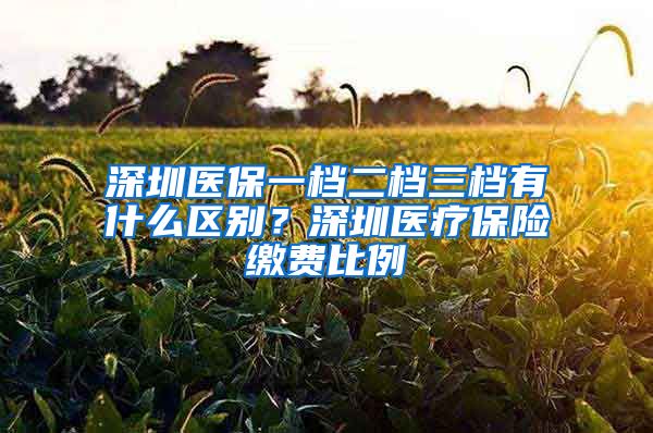 深圳医保一档二档三档有什么区别？深圳医疗保险缴费比例