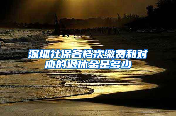 深圳社保各档次缴费和对应的退休金是多少