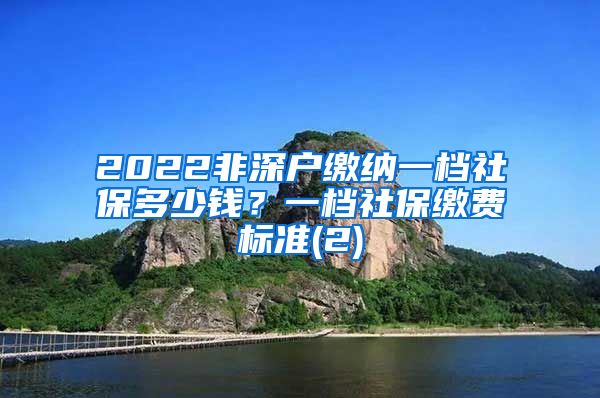 2022非深户缴纳一档社保多少钱？一档社保缴费标准(2)