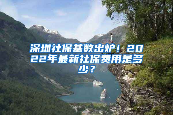 深圳社保基数出炉！2022年最新社保费用是多少？