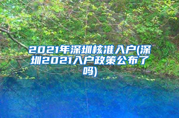 2021年深圳核准入户(深圳2021入户政策公布了吗)