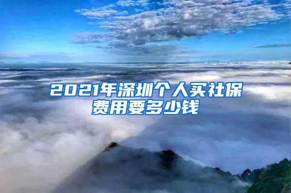 2021年深圳个人买社保费用要多少钱