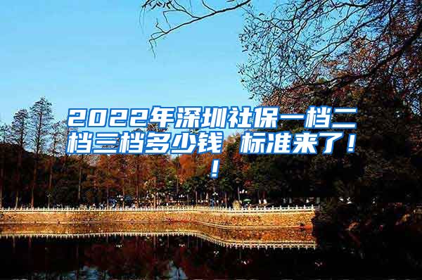 2022年深圳社保一档二档三档多少钱 标准来了！！