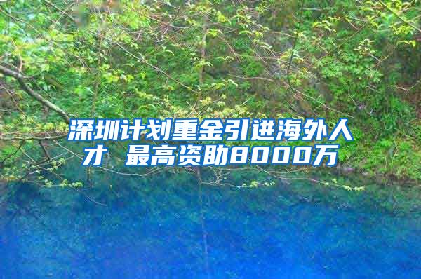 深圳计划重金引进海外人才 最高资助8000万