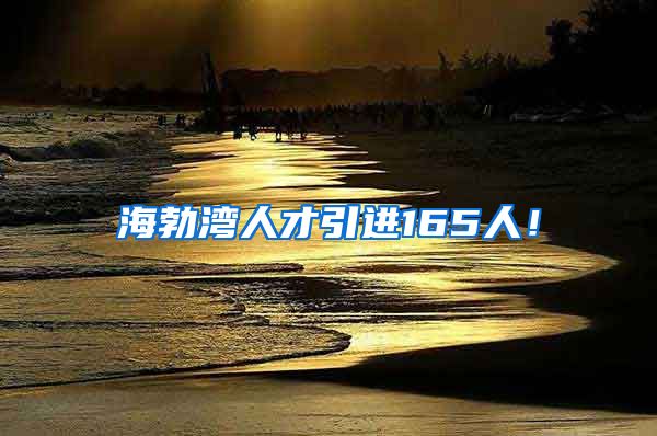 海勃湾人才引进165人！