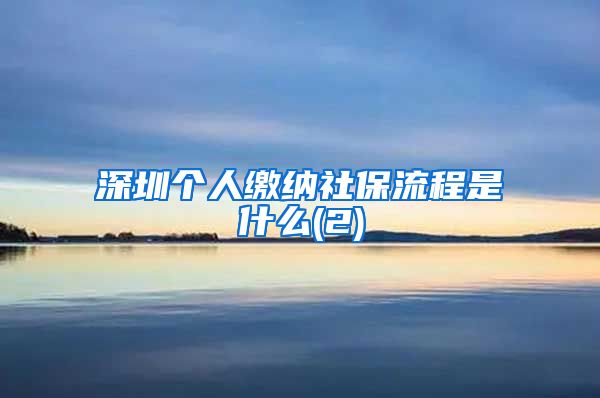 深圳个人缴纳社保流程是什么(2)