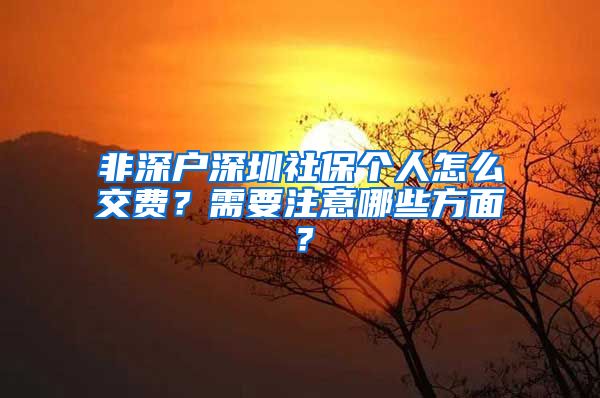 非深户深圳社保个人怎么交费？需要注意哪些方面？