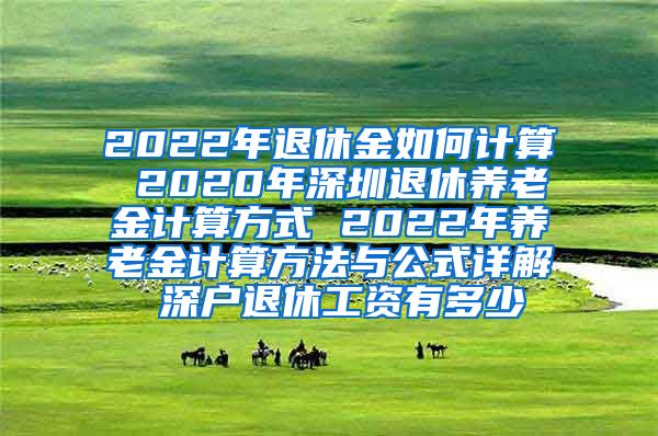 2022年退休金如何计算 2020年深圳退休养老金计算方式 2022年养老金计算方法与公式详解 深户退休工资有多少