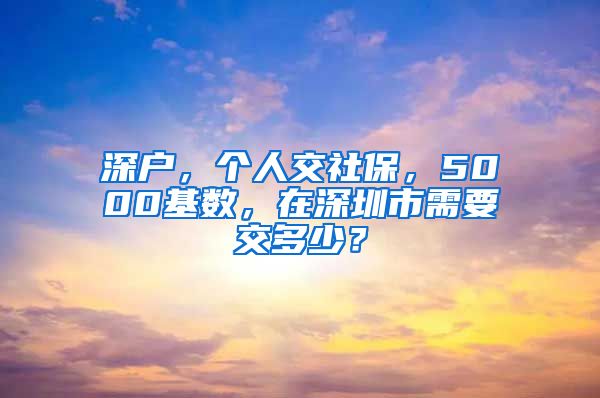 深户，个人交社保，5000基数，在深圳市需要交多少？