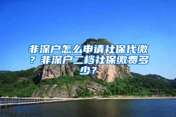 非深户怎么申请社保代缴？非深户二档社保缴费多少？