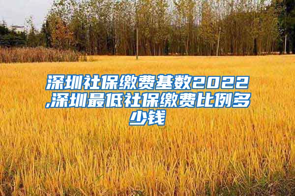 深圳社保缴费基数2022,深圳最低社保缴费比例多少钱