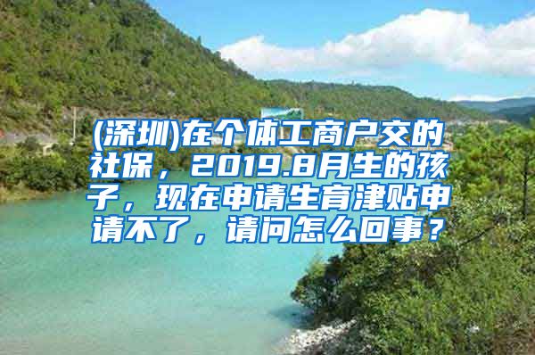 (深圳)在个体工商户交的社保，2019.8月生的孩子，现在申请生育津贴申请不了，请问怎么回事？