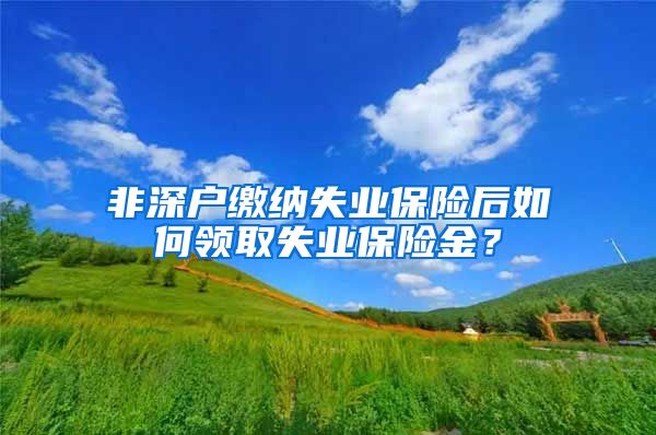 非深户缴纳失业保险后如何领取失业保险金？