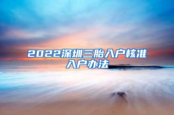 2022深圳三胎入户核准入户办法