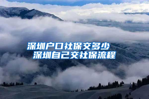 深圳户口社保交多少  深圳自己交社保流程