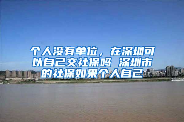 个人没有单位，在深圳可以自己交社保吗 深圳市的社保如果个人自己