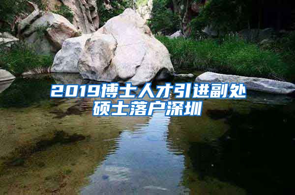 2019博士人才引进副处硕士落户深圳