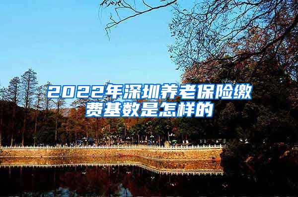 2022年深圳养老保险缴费基数是怎样的