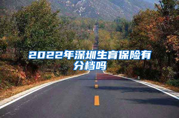 2022年深圳生育保险有分档吗