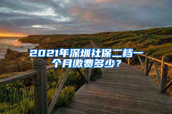 2021年深圳社保二档一个月缴费多少？