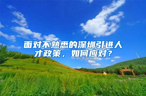 面对不熟悉的深圳引进人才政策，如何应对？