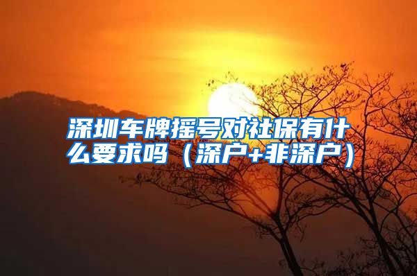 深圳车牌摇号对社保有什么要求吗（深户+非深户）