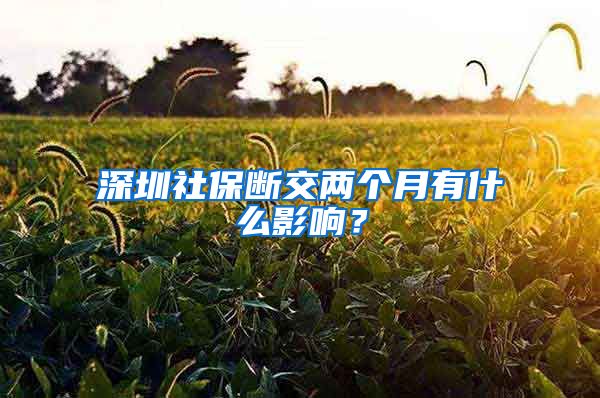 深圳社保断交两个月有什么影响？