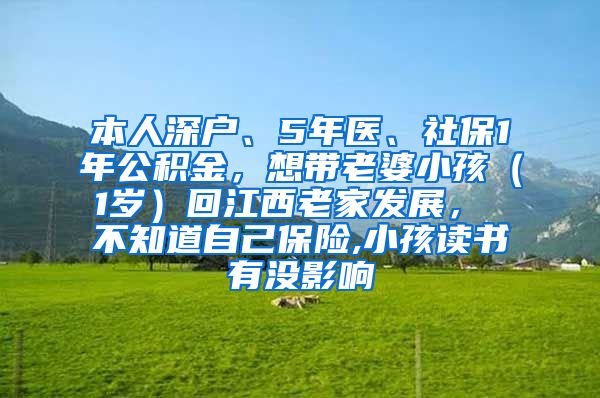 本人深户、5年医、社保1年公积金，想带老婆小孩（1岁）回江西老家发展， 不知道自己保险,小孩读书有没影响