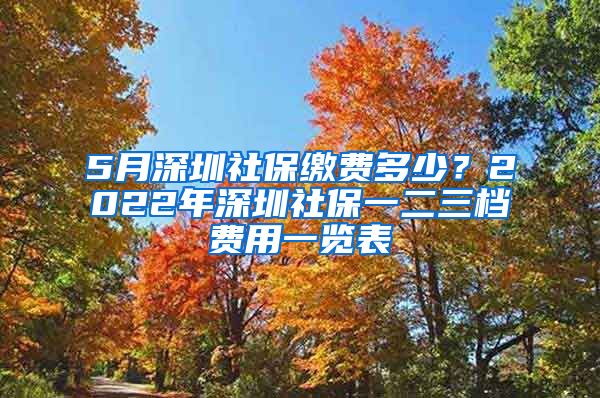 5月深圳社保缴费多少？2022年深圳社保一二三档费用一览表