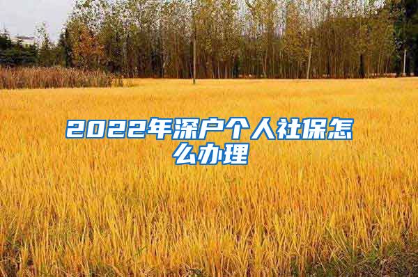 2022年深户个人社保怎么办理