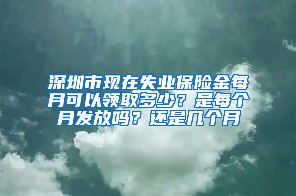 深圳市现在失业保险金每月可以领取多少？是每个月发放吗？还是几个月