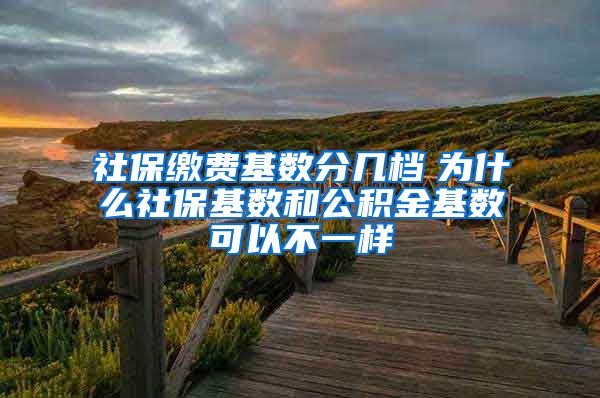 社保缴费基数分几档　为什么社保基数和公积金基数可以不一样