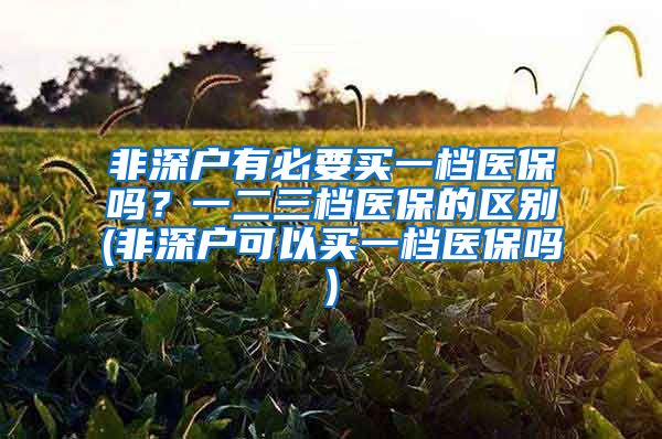 非深户有必要买一档医保吗？一二三档医保的区别(非深户可以买一档医保吗)