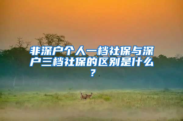 非深户个人一档社保与深户三档社保的区别是什么？