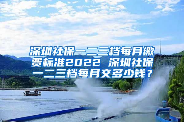 深圳社保一二三档每月缴费标准2022 深圳社保一二三档每月交多少钱？