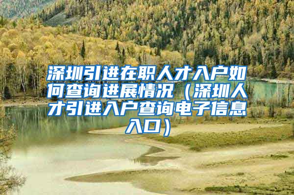 深圳引进在职人才入户如何查询进展情况（深圳人才引进入户查询电子信息入口）