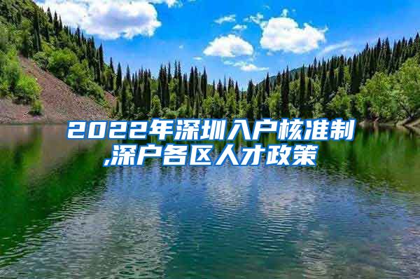 2022年深圳入户核准制,深户各区人才政策