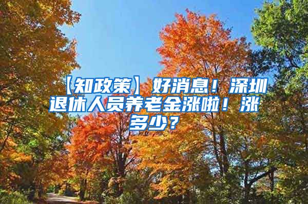 【知政策】好消息！深圳退休人员养老金涨啦！涨多少？