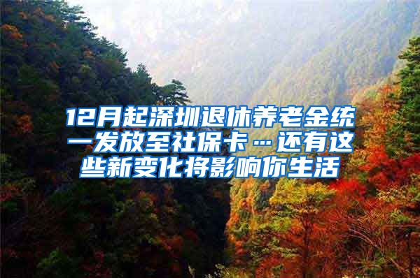 12月起深圳退休养老金统一发放至社保卡…还有这些新变化将影响你生活