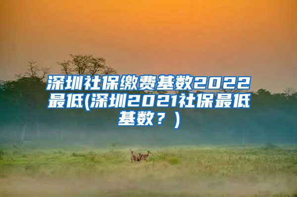 深圳社保缴费基数2022最低(深圳2021社保最低基数？)