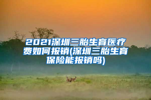 2021深圳三胎生育医疗费如何报销(深圳三胎生育保险能报销吗)