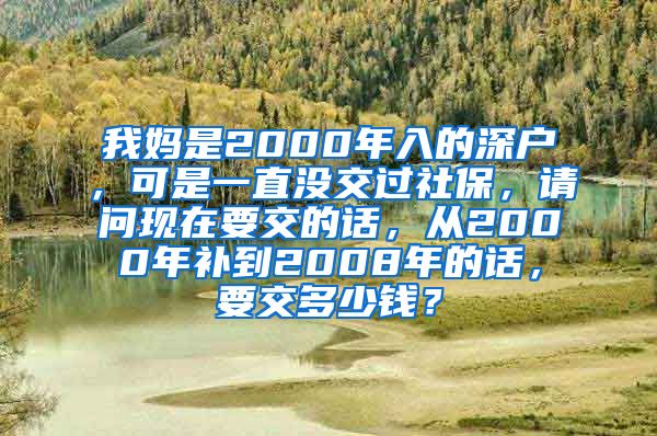 我妈是2000年入的深户，可是一直没交过社保，请问现在要交的话，从2000年补到2008年的话，要交多少钱？