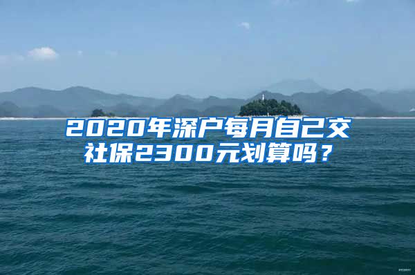 2020年深户每月自己交社保2300元划算吗？