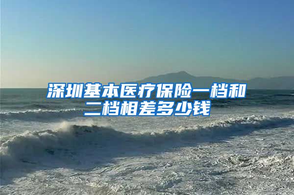 深圳基本医疗保险一档和二档相差多少钱