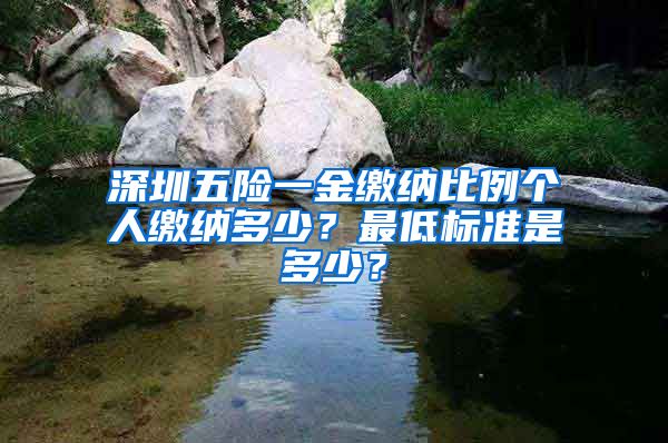 深圳五险一金缴纳比例个人缴纳多少？最低标准是多少？